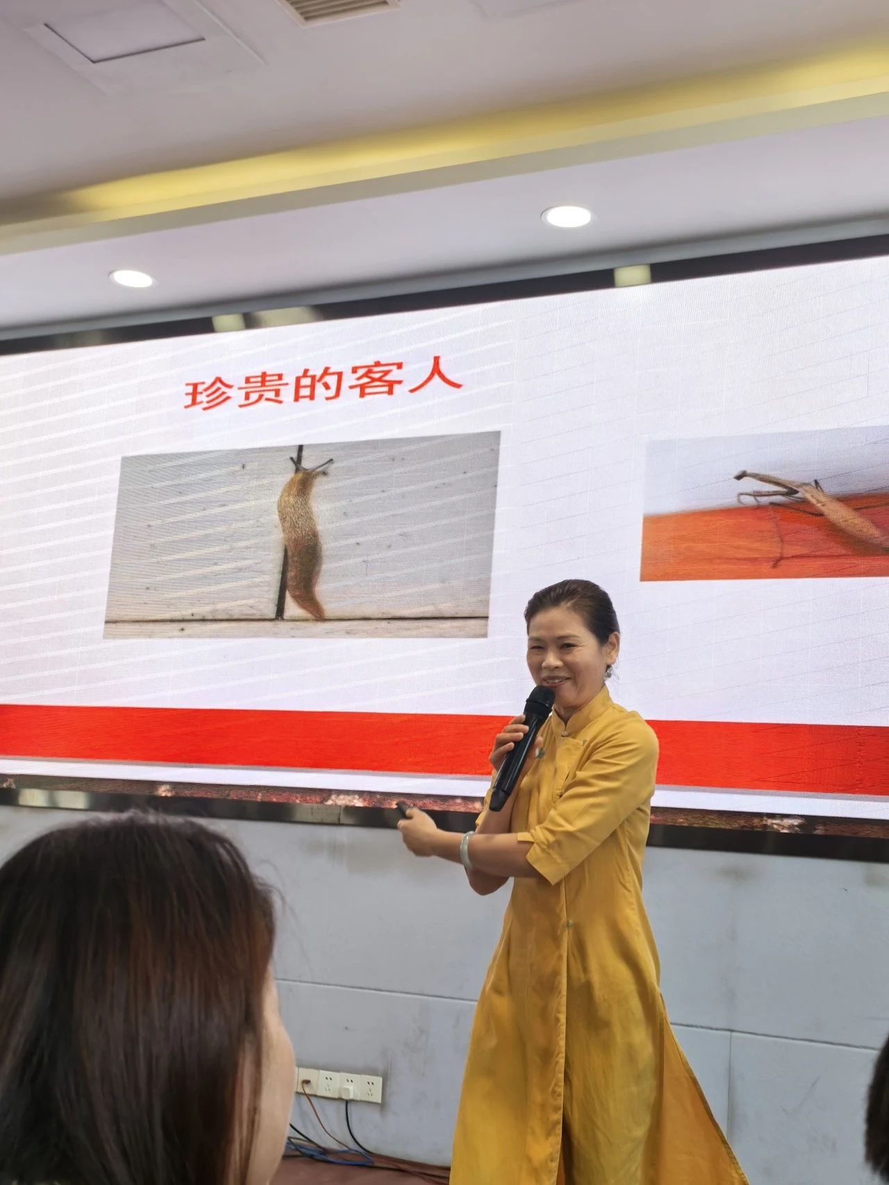 tyc41183太阳成集团