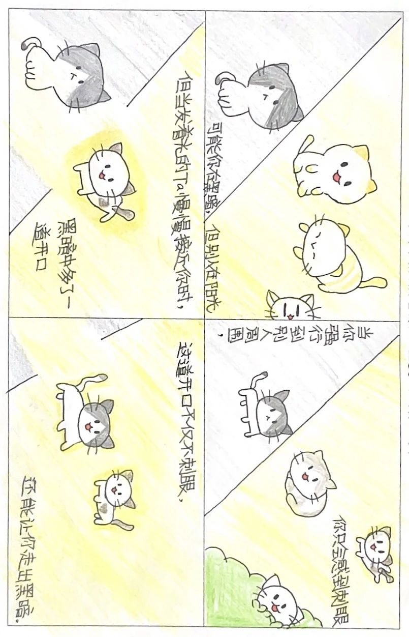 tyc41183太阳成集团