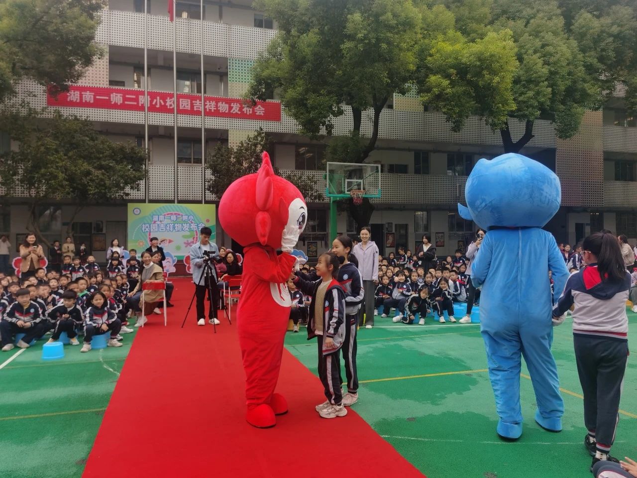 tyc41183太阳成集团