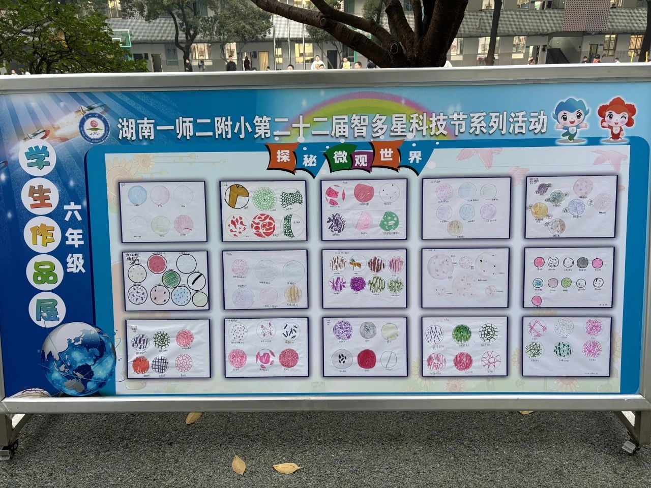 tyc41183太阳成集团