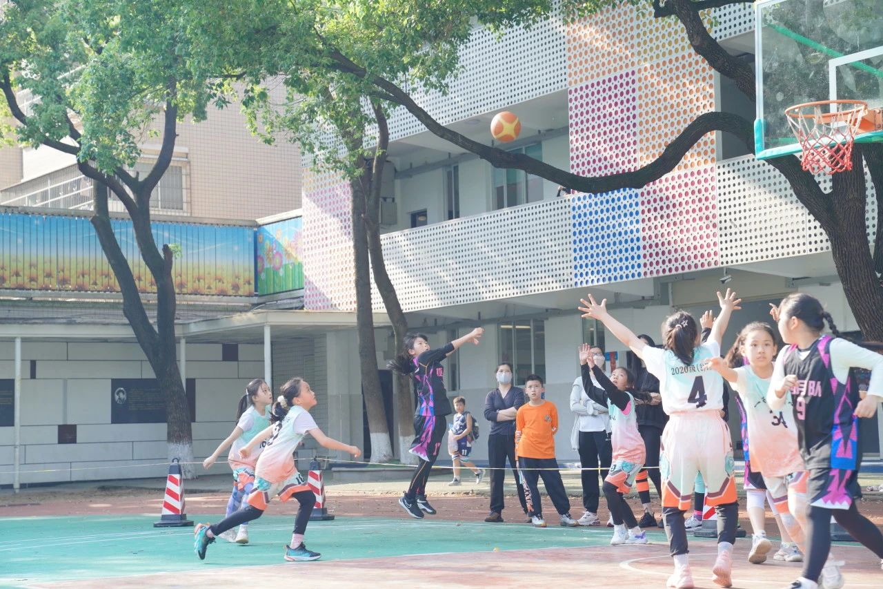 tyc41183太阳成集团