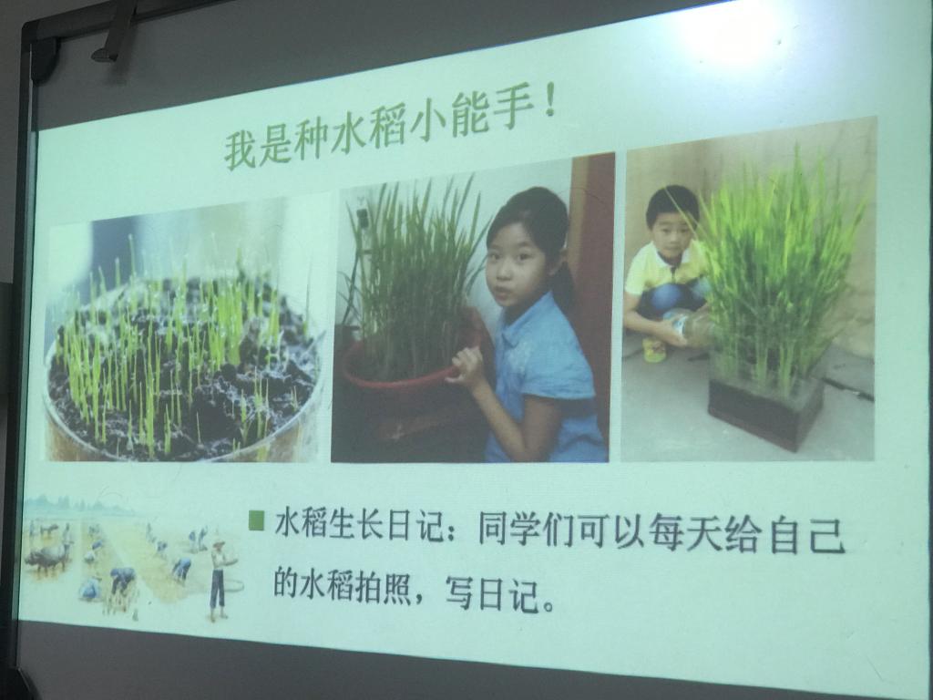 tyc41183太阳成集团