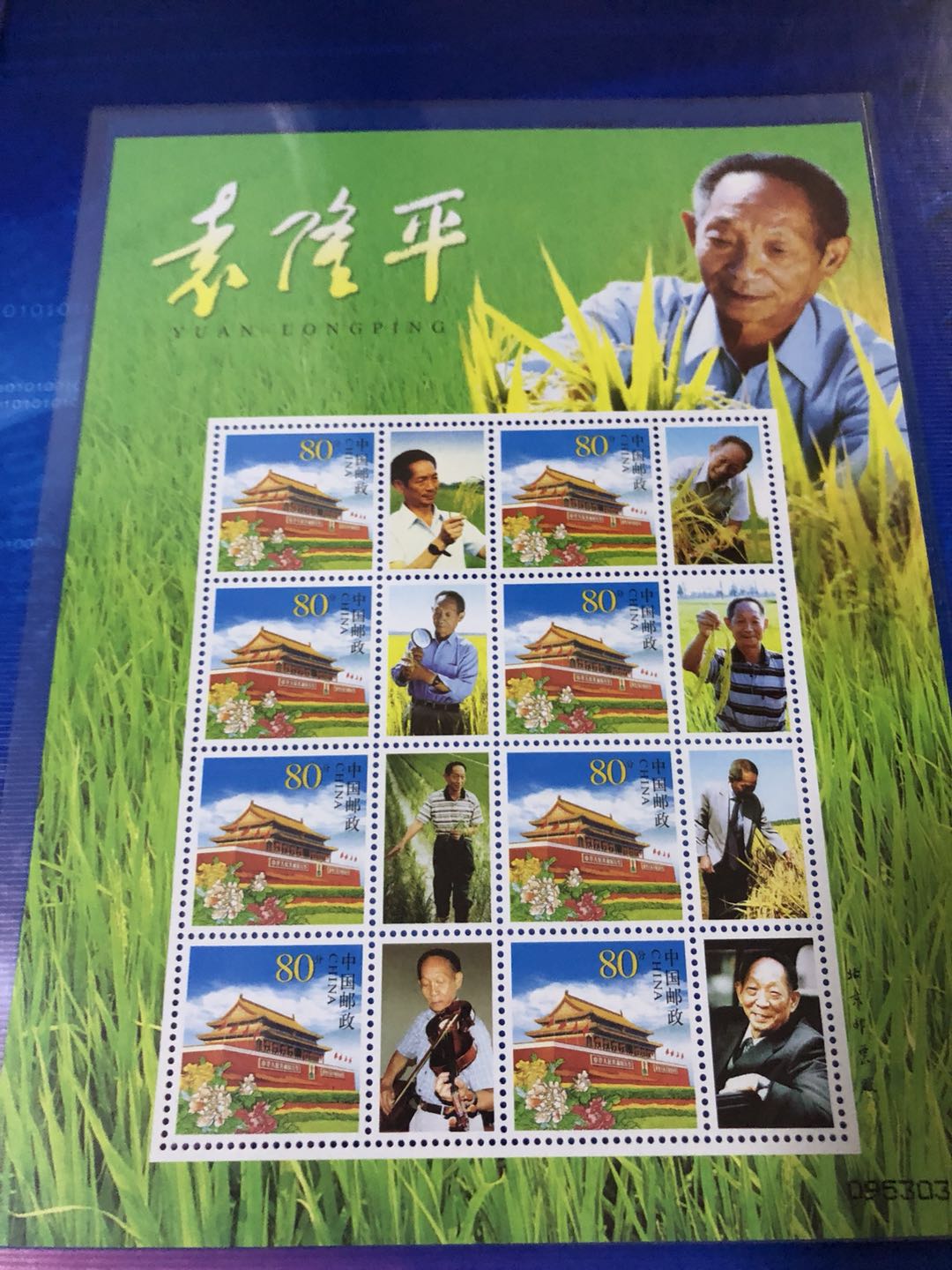 tyc41183太阳成集团
