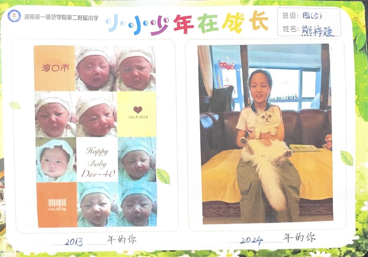 tyc41183太阳成集团